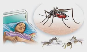 लामखुट्टेको बढ्दो आतंक: महामारीको जोखिममा नागरिक, स्थानीय निकाय मौन